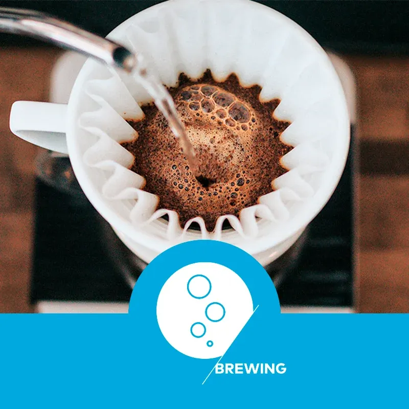 curso-brewing-skills-foundation-sca-da-idcoffeelab-brasil-capa