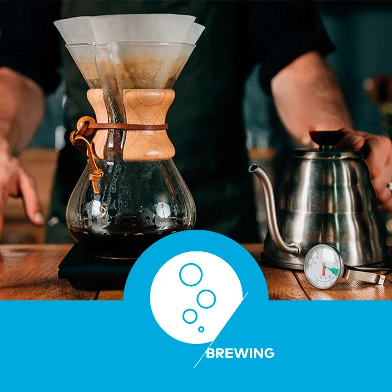 curso-brewing-skills-intermediate-sca-da-idcoffeelab-brasil-capa