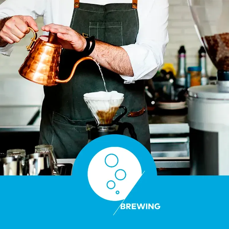 curso-brewing-skills-professional-sca-da-idcoffeelab-brasil-capa