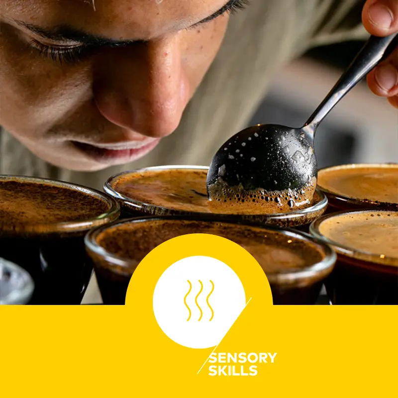 capa-curso-sensory-skills-foundation-sca-idcoffee-lab-brasil
